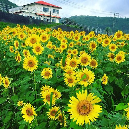 Guesthouse ＆ Beach Cafe Fuego Hyuga Zewnętrze zdjęcie
